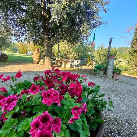 Azienda Agricola Polveraia Villa San Gimignano Exterior foto