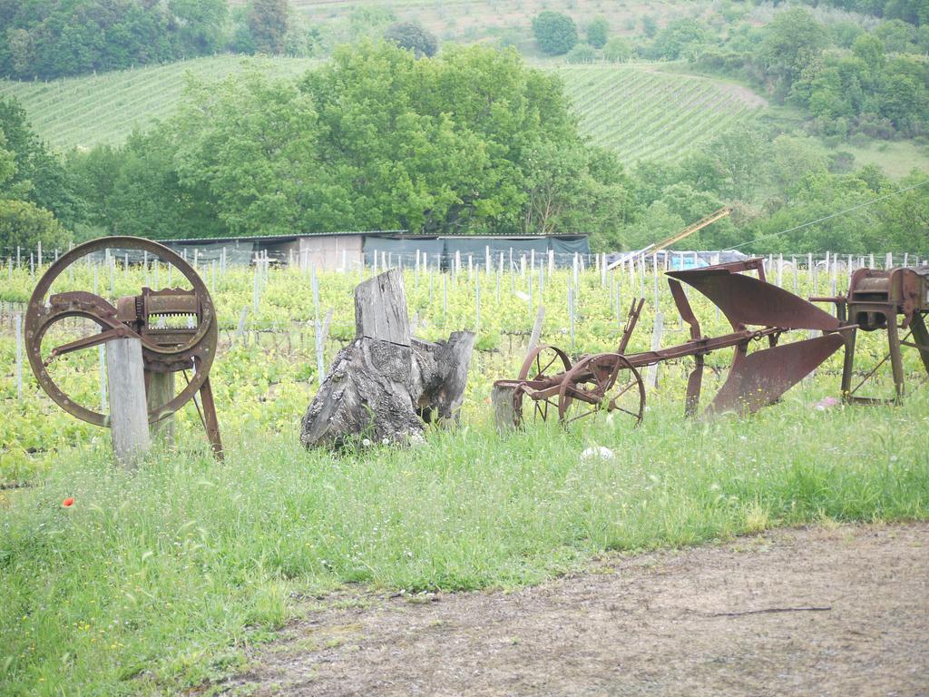 Azienda Agricola Polveraia Villa San Gimignano Exterior foto