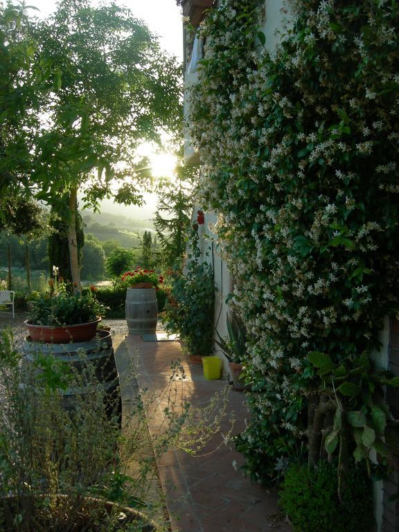 Azienda Agricola Polveraia Villa San Gimignano Exterior foto